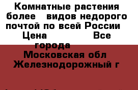 Комнатные растения более200видов недорого почтой по всей России › Цена ­ 100-500 - Все города  »    . Московская обл.,Железнодорожный г.